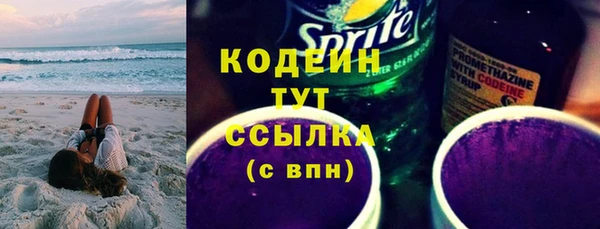 крисы Туринск