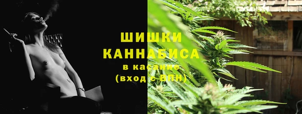 МДПВ Инсар