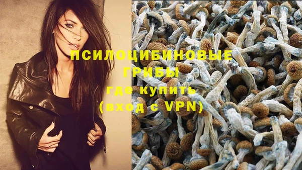 герыч Инта
