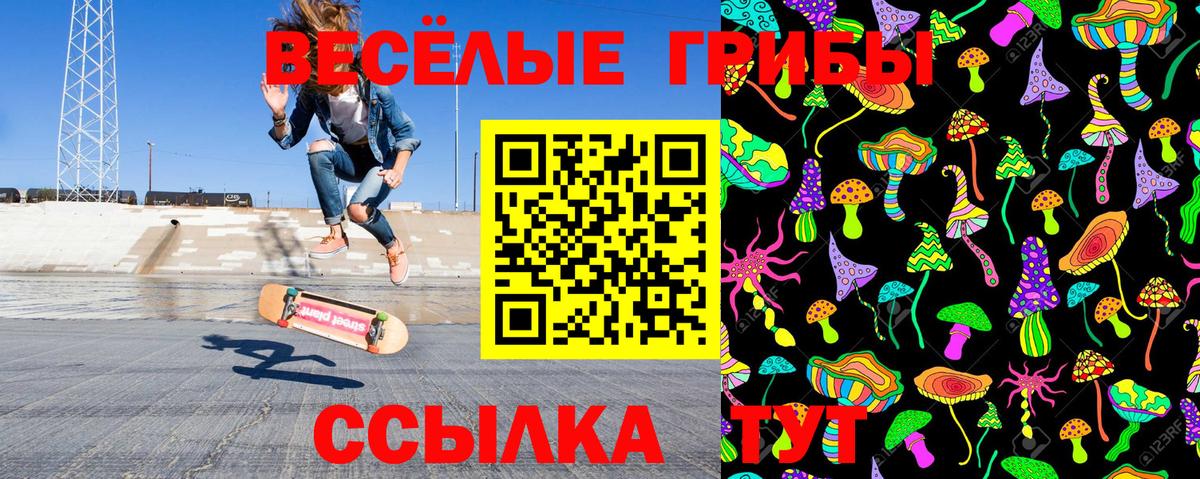 Псилоцибиновые грибы GOLDEN TEACHER Волжский