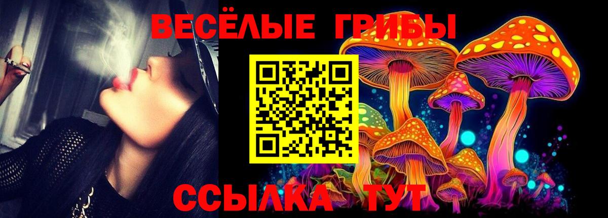 Волжский  Псилоцибиновые грибы Psilocybine cubensis  Вход с VPN 